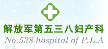 汉中解放军538医院