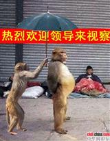 䛲鿴D
