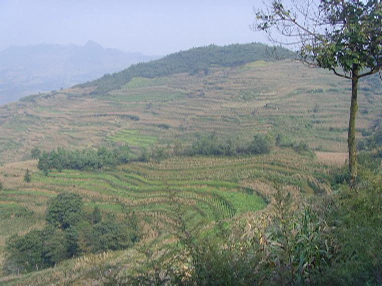 镇雄县乌峰镇高山村图片