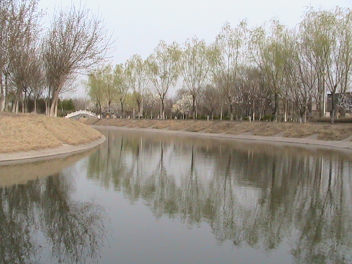 美丽的叶县生态园