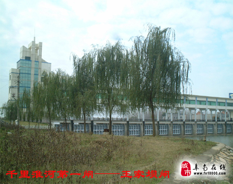 王家坝十大美景
