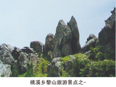 新干县桃溪乡