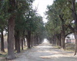 孟林_旅游景点_邹城在线