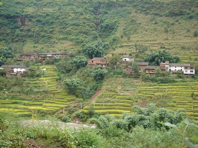 彝良县角奎镇河湾行政村桥边自然村