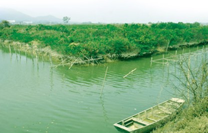 南朗红树林崖口湿地公园