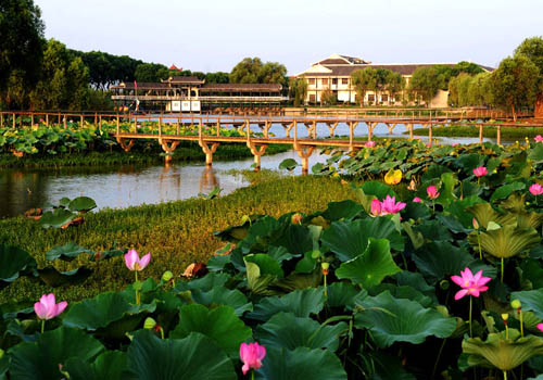 洪湖茶坛岛风景区
