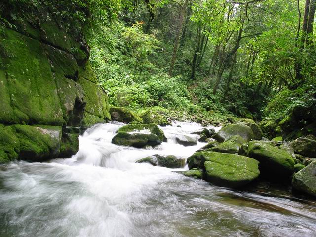 融安红茶沟_旅游景点_柳州在线