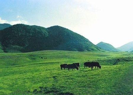 重庆市巫溪县东北部,东靠神农架原始森林,属阴条岭自然保护区的实验区