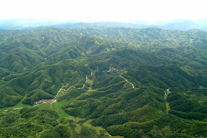 相关机构:南城县 关键词:麻姑山中游 相关网址:ht://.