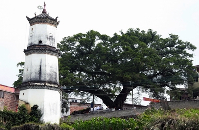 麻布岗镇大长沙村——客家原乡六百年_本地历史_龙川