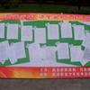 䛲鿴D