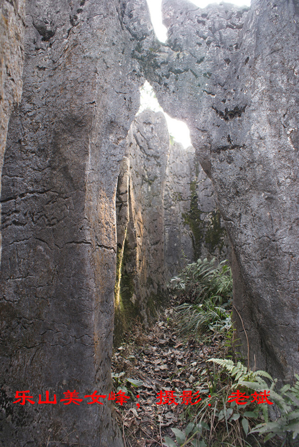 游四川乐山沙湾美女峰