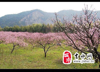 [转贴]吉水有个桃花岛