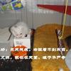 䛲鿴D
