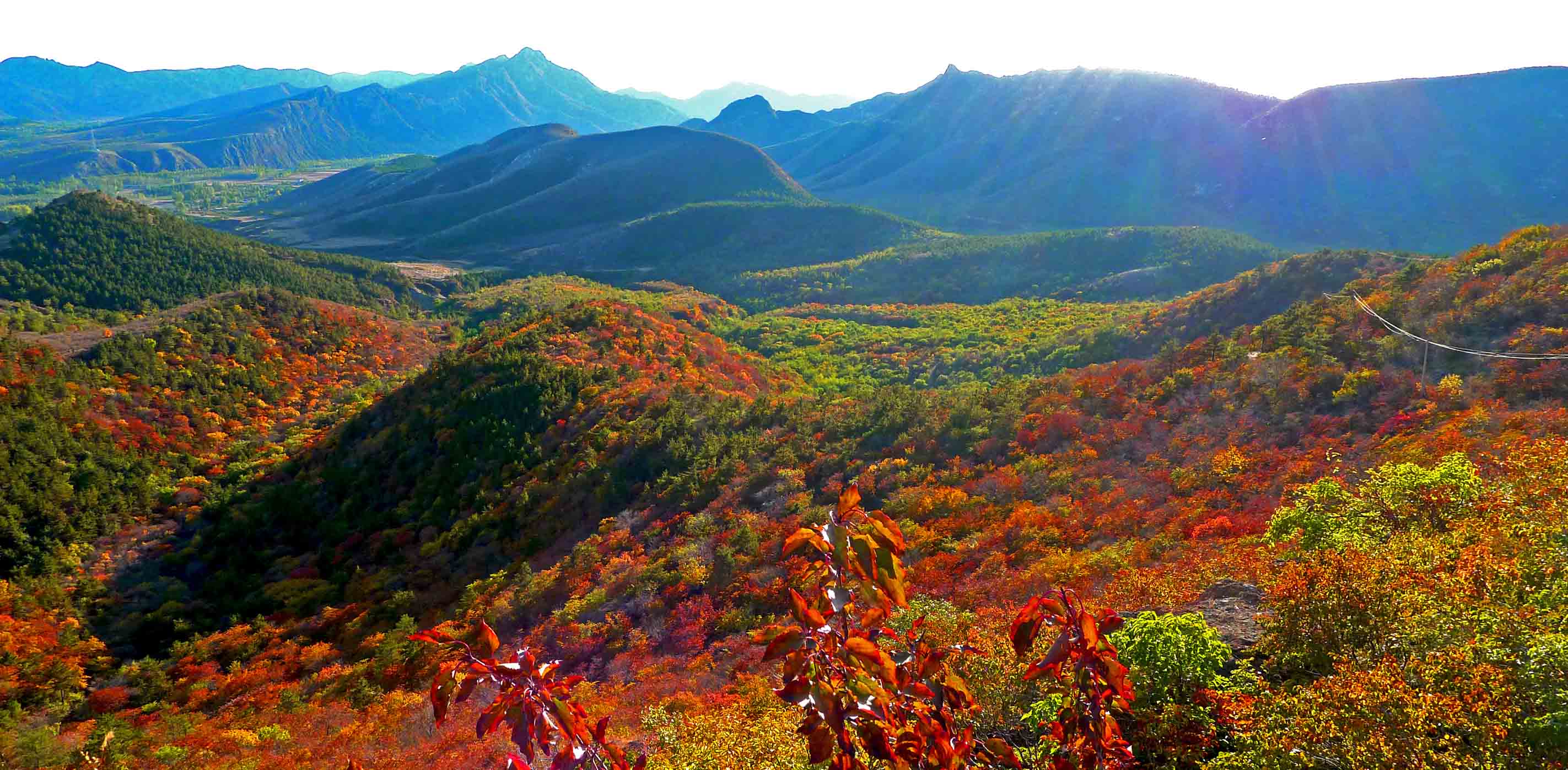 可儿拍红叶 春子醉秋山