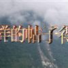 䛲鿴D