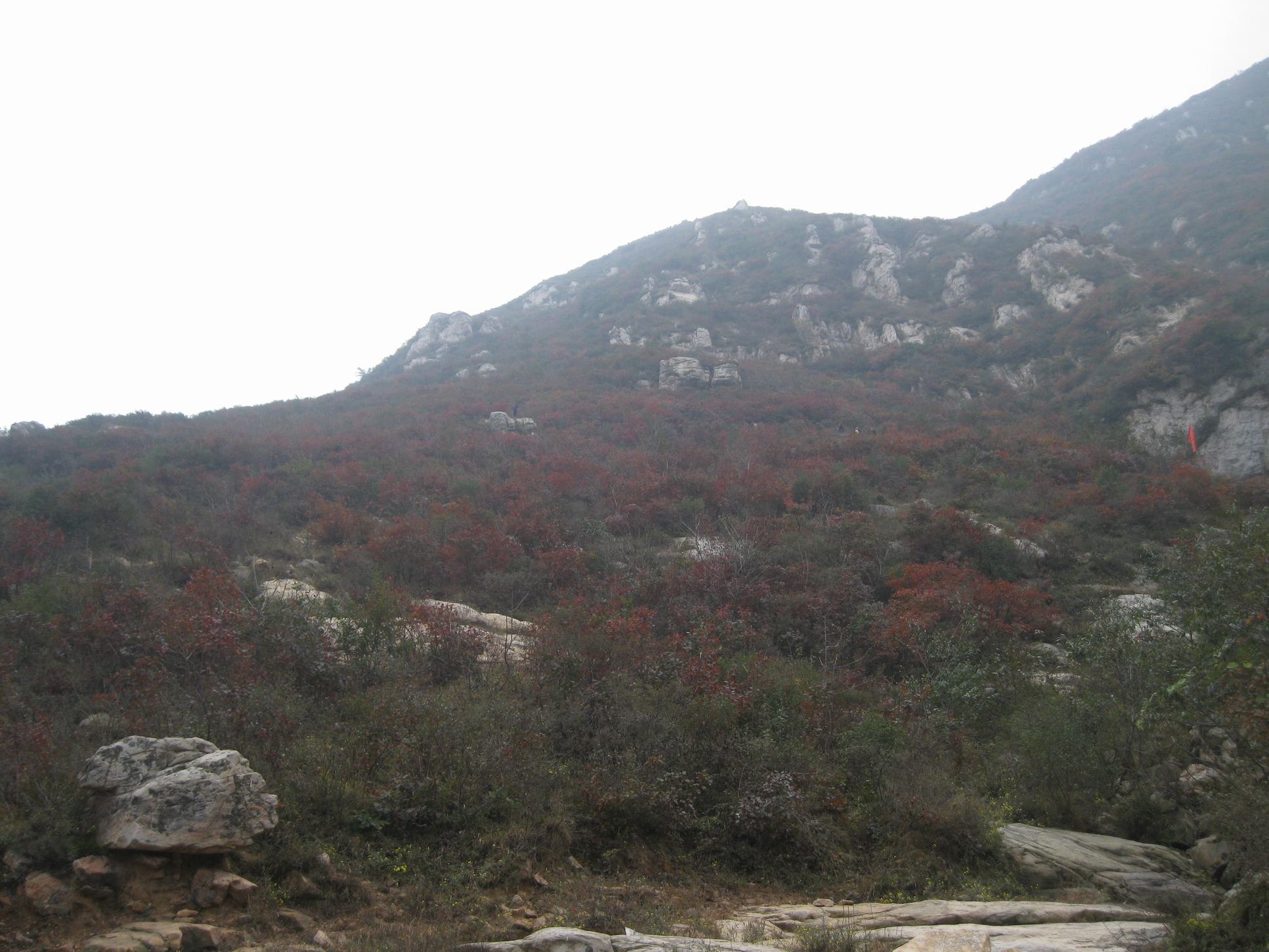 大红寨迷人的风景_快乐老家户外_汝州论坛_汝州在线