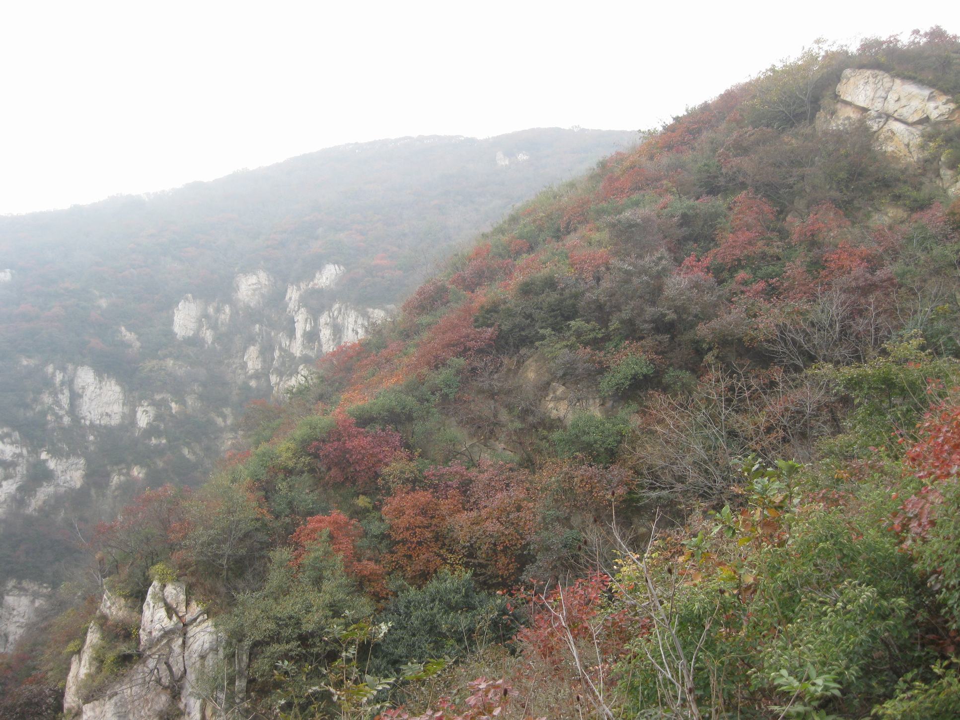 大红寨迷人的风景_快乐老家户外_汝州论坛_汝州在线