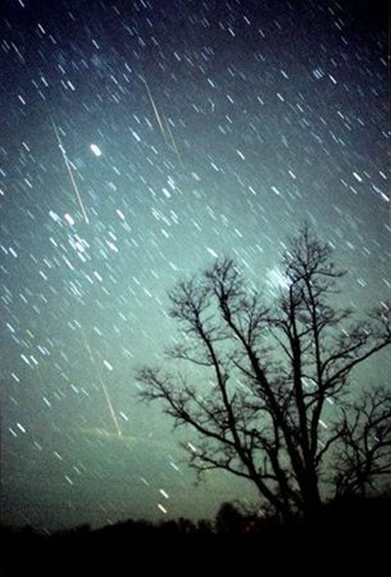 2010狮子座流星雨 狮子座流星雨图片 狮子座流星雨时间