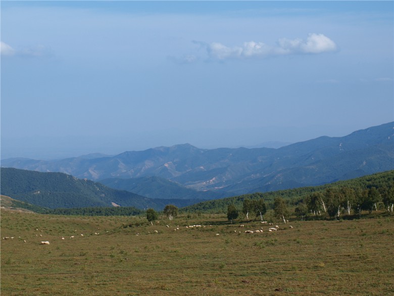 主题: 宁城黑里河风光