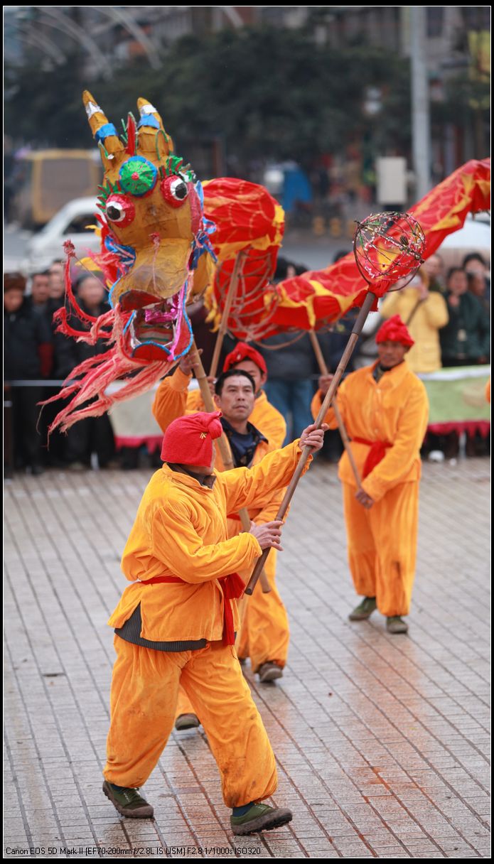 豆花节舞龙灯