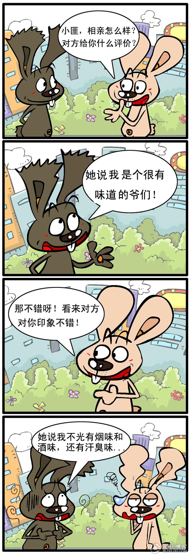 兔匪匪短笑话