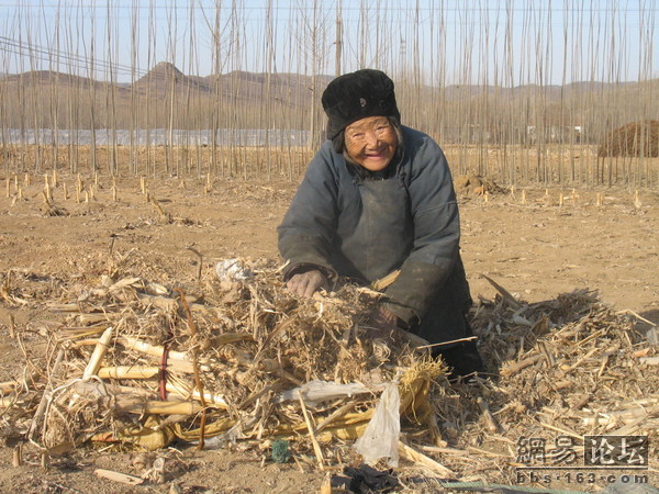 心酸无依无靠80高龄老人的生活