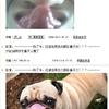 [ԭ(chung)]ЦMDײ