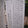 䛲鿴D