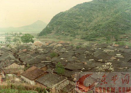 大城小事 大冶资讯 红八军创建地殷祖镇马对于村马氏宗祠 1930年6