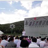 䛲鿴D