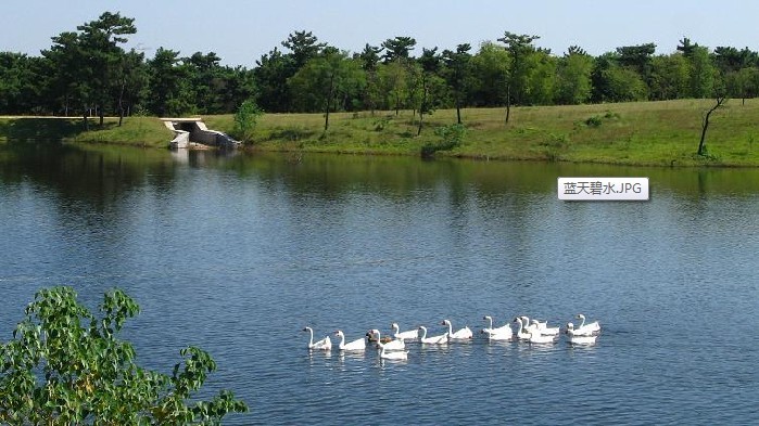 青松岭森林公园