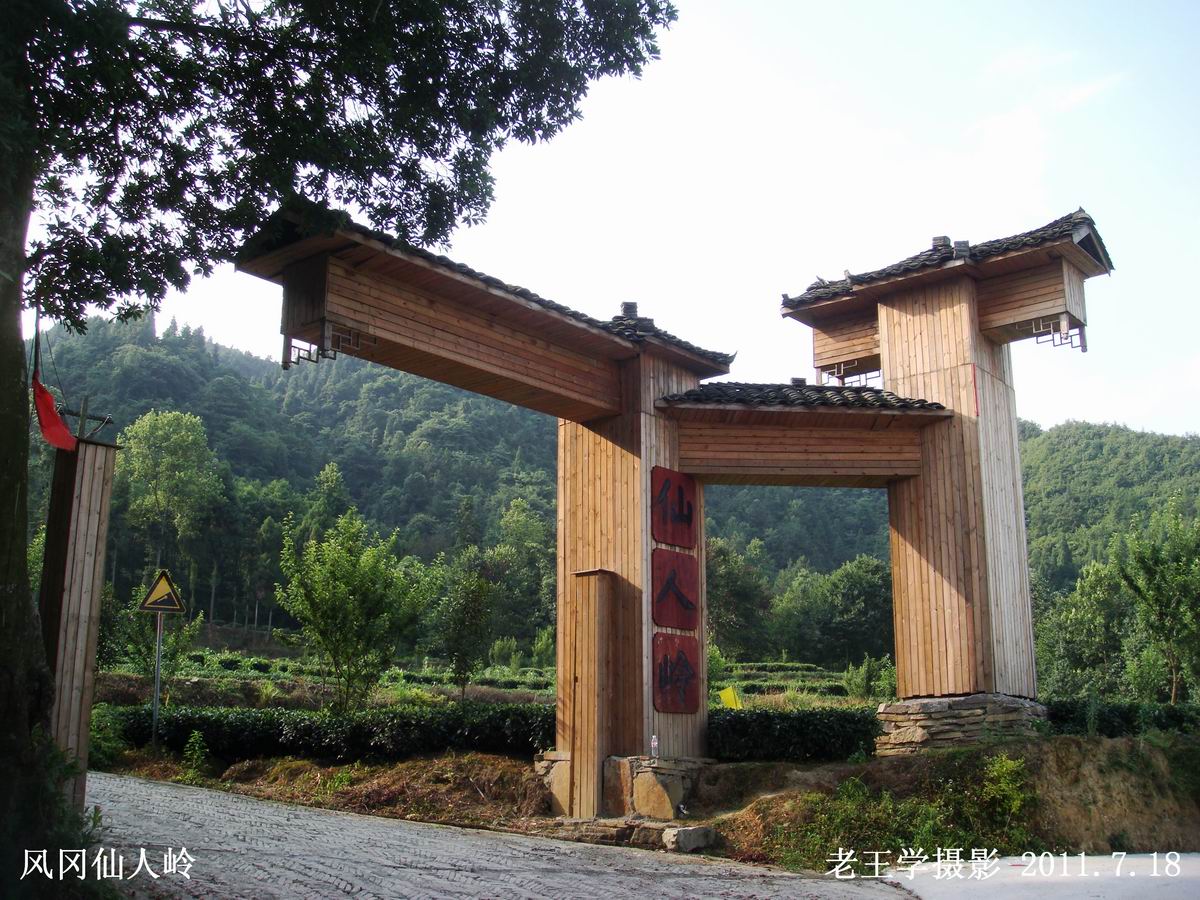 ta(老王学摄影)的城市空间,被关注过67711次
