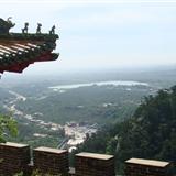 䛲鿴D