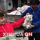 登录查看大图