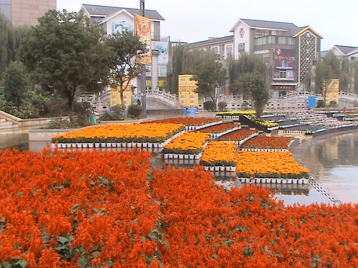 2011节当天的陆良县城