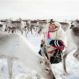 北极圈的萨米族部落