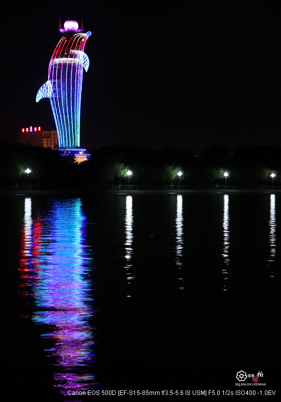 嘉峪关东湖海豚塔夜拍