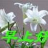 䛲鿴D