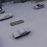 䛲鿴D