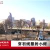 䛲鿴D