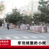 䛲鿴D
