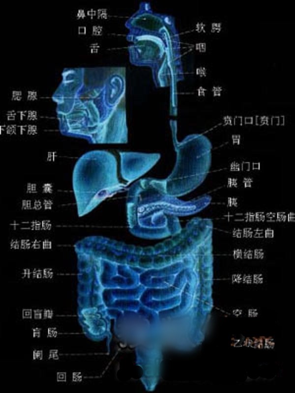 [注意]人体八大器官临终的遗言