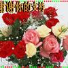 䛲鿴D
