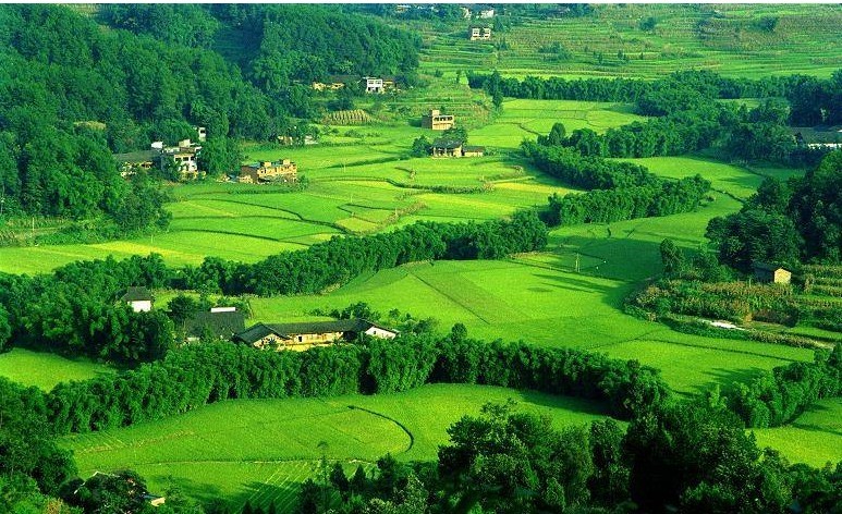 走近芭蕉河(芭蕉河位于龙潭镇先锋村)_摄友天地_涪陵