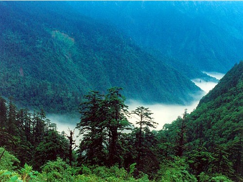 四川峨眉山黑竹沟 峨眉山黑竹沟死亡谷 峨眉山黑竹沟温泉