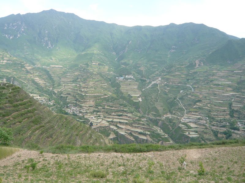 文县高楼山金矿—主峰