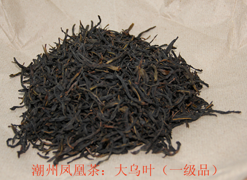 登录查看大图