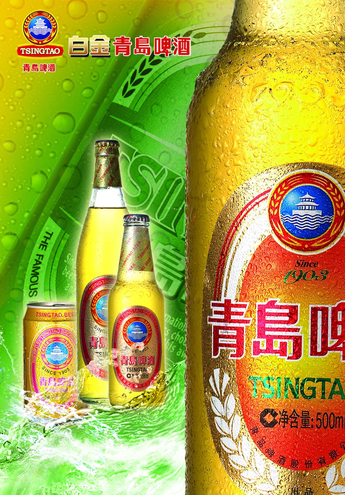 青岛啤酒白金系列诚招各地区代理商