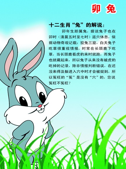 十二生肖属相之卯兔(四)介绍一下可爱的兔子,想必属兔